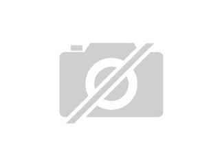 Suche Spornschildkröte